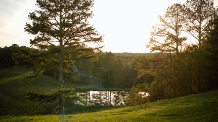 Land for sale in Winston County, Alabama