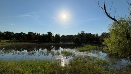 Land for sale in Comanche County, Texas