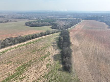 Timberland Property for sale in Early County, Georgia