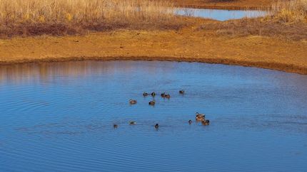 Recreational Property for sale in Young County, Texas
