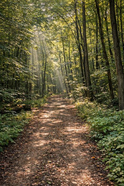 Timberland Property for sale in Scott County, Virginia