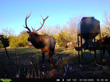 Farm and Ranch for sale in Coal County, Oklahoma