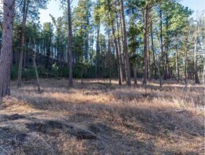 Hunting Property for sale in Pennington County, South Dakota