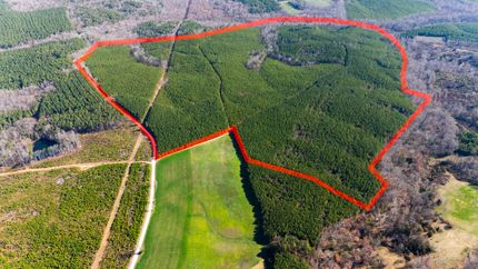 Land for sale in Charlotte County, Virginia
