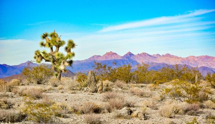 Recreational Property in Mohave County, Arizona