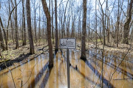 Undeveloped Land for sale in Johnson County, Illinois