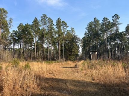 Farm and Ranch for sale in Early County, Georgia