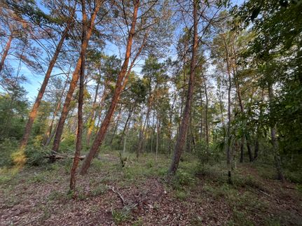 Land for sale in Putnam County, Florida