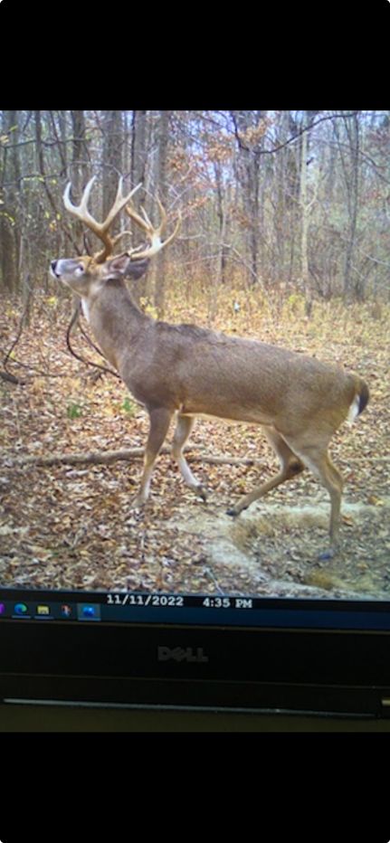 Farm and Ranch for sale in Pope County, Illinois