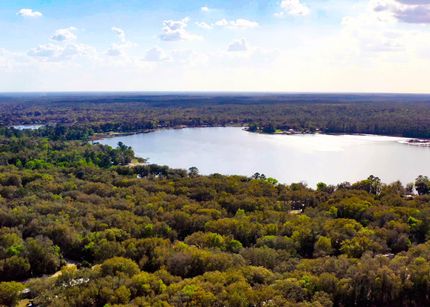 Undeveloped Land in Putnam County, Florida