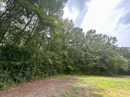 Undeveloped Land for sale in Horry County, South Carolina