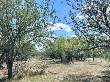 Farm and Ranch for sale in Callahan County, Texas