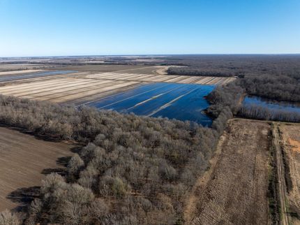 Oceanfront Property in Clay County, Arkansas