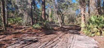 Homesite for sale in Putnam County, Florida