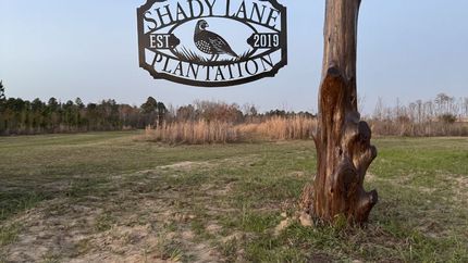 Timberland Property for sale in Screven County, Georgia