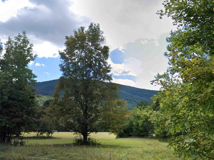 Farm and Ranch for sale in Greene County, New York