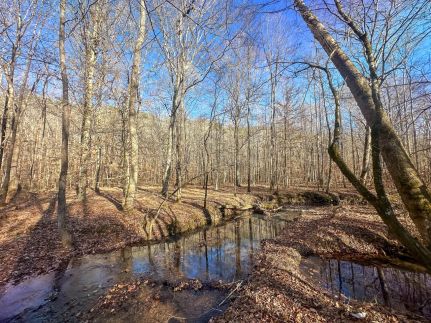 Farm and Ranch for sale in Lewis County, Tennessee
