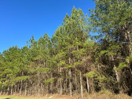 Farm and Ranch for sale in Houston County, Alabama