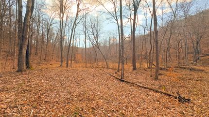 Recreational Property for sale in Pike County, Ohio