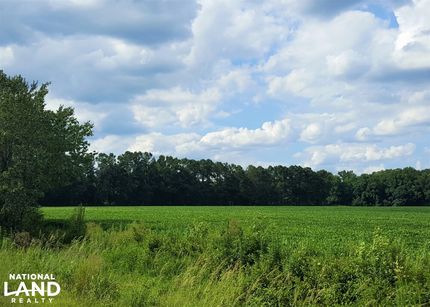 Timberland Property in Pender County, North Carolina