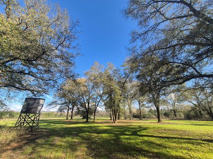 Farm and Ranch for sale in Clarke County, Mississippi