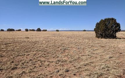 Timberland Property for sale in Apache County, Arizona