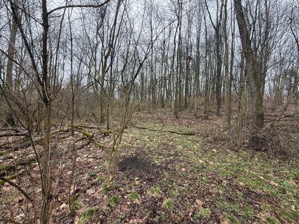 Land for sale in Lawrence County, Pennsylvania