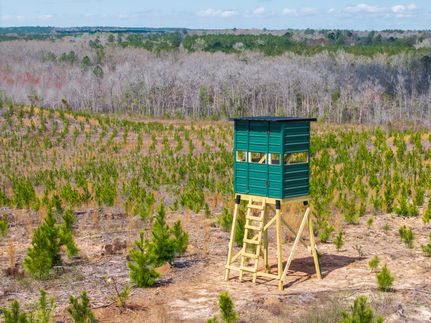Timberland Property for sale in Wilkinson County, Georgia