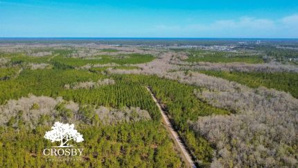 Farm and Ranch for sale in Liberty County, Georgia