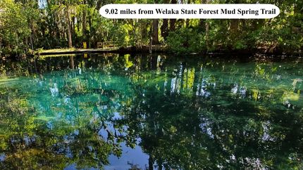 Undeveloped Land for sale in Putnam County, Florida