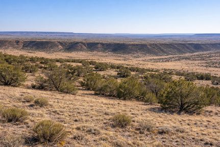 Commercial Property for sale in Navajo County, Arizona