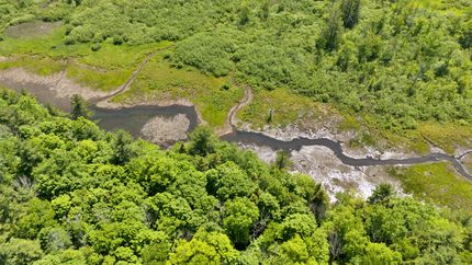 Timberland Property for sale in Berkshire County, Massachusetts