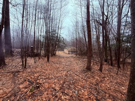 Land for sale in McKean County, Pennsylvania