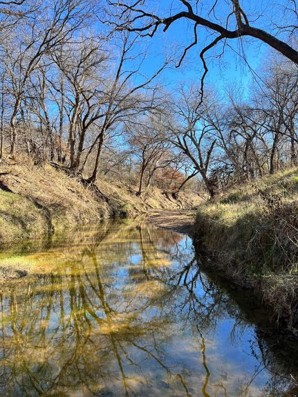 Land for sale in Comanche County, Texas