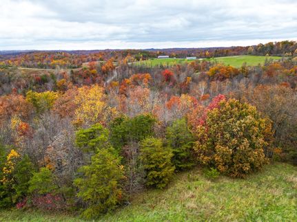 Timberland Property for sale in Lawrence County, Ohio