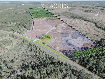 Farm and Ranch for sale in Ware County, Georgia