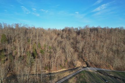 Timberland Property for sale in Casey County, Kentucky