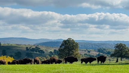 Recreational Property for sale in Madison County, Arkansas