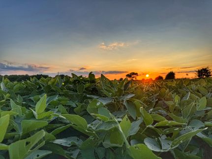 Farm and Ranch for sale in Colbert County, Alabama