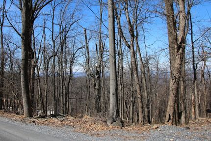 Recreational Property for sale in Warren County, Virginia