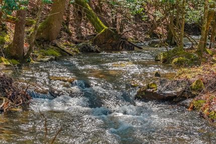 Recreational Property for sale in Grundy County, Tennessee