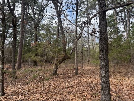 Timberland Property for sale in Latimer County, Oklahoma