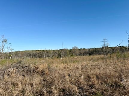 Recreational Property for sale in Holmes County, Mississippi