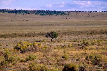 Farm and Ranch for sale in Hudspeth County, Texas