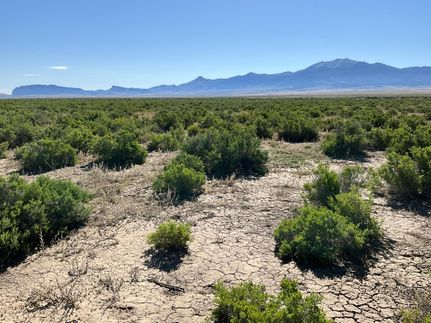 Farm and Ranch for sale in Elko County, Nevada
