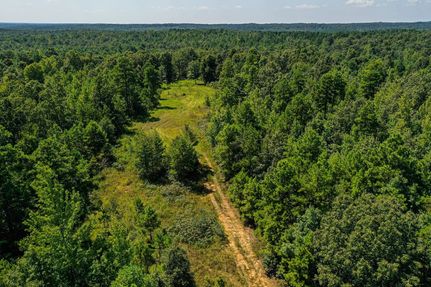 Land for sale in Benton County, Mississippi
