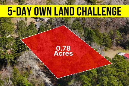 Undeveloped Land for sale in Bamberg County, South Carolina