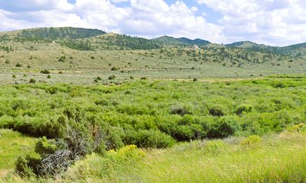 Land for sale in Costilla County, Colorado