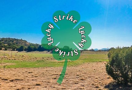 Undeveloped Land in Apache County, Arizona