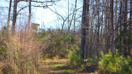 Timberland Property for sale in Union County, South Carolina